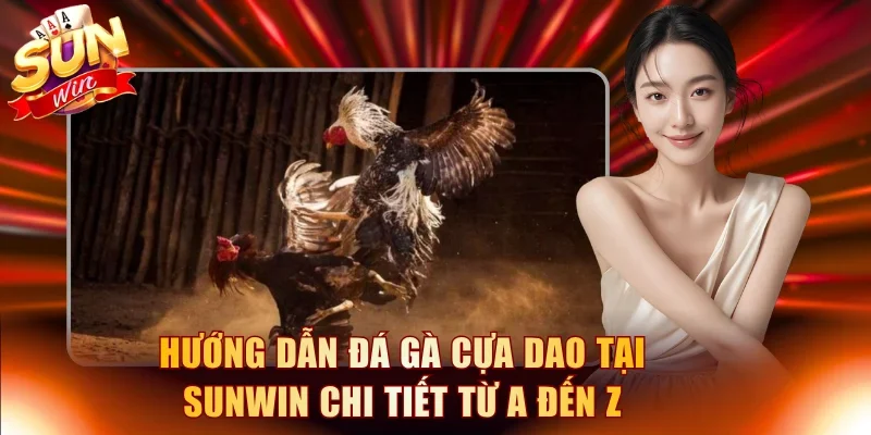 Đá gà cựa dao