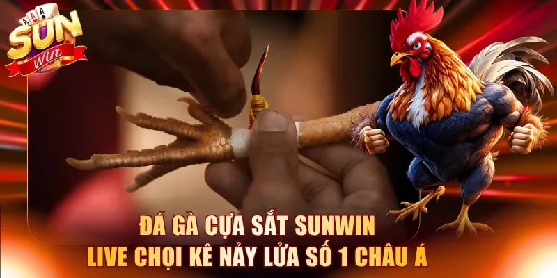 Đá gà cựa sắt