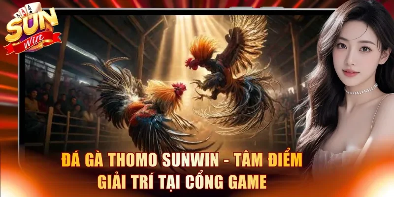 Đá gà Thomo
