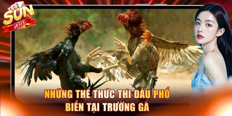 Những thể thức thi đấu phổ biến tại trường gà