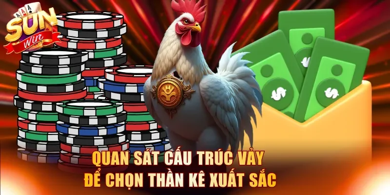 Quan sát cấu trúc vảy để chọn thần kê xuất sắc