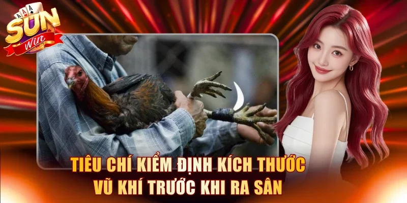 Tiêu chí kiểm định kích thước vũ khí trước khi ra sân